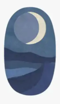 Vinyl Lunar Stickers